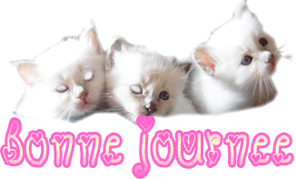 bonne journée